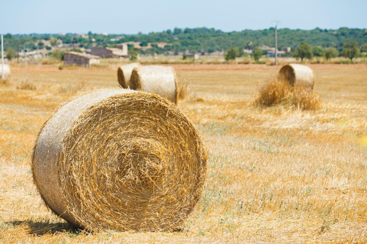 184 Finca Estret Etv3644 By Mallorca Charme Santa Margalida Zewnętrze zdjęcie